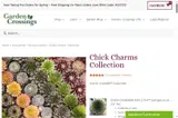 SUPERTUNIA coupon verification screenshot