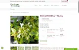 welcome25 coupon verification screenshot