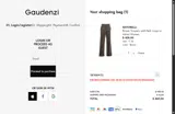 Gaudenzi Boutique coupon verification screenshot