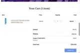 TAKE10OFF coupon verification screenshot