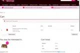 JOY15 coupon verification screenshot