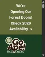 Go Ape US coupon verification screenshot