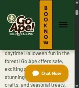 Go Ape US coupon verification screenshot