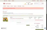 BASKET coupon verification screenshot