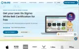GoLeanSixSigma.com coupon verification screenshot