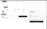 KELSIE10 coupon verification screenshot