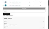DISCTAY10 coupon verification screenshot