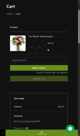 BLACKFRIDAY coupon verification screenshot