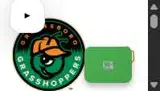 Greensboro Grasshoppers coupon verification screenshot