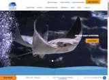 WELCOMEBACK-10 coupon verification screenshot