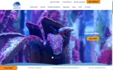 WELCOMEBACK-10 coupon verification screenshot