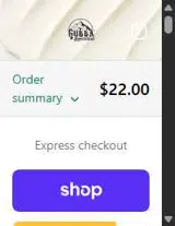 SPRING10 coupon verification screenshot