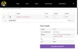 GOTGAMMAGE coupon verification screenshot