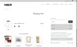 CAN16x coupon verification screenshot