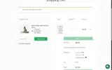 BARGAIN20 coupon verification screenshot