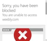 Healthy Rips coupon verification screenshot