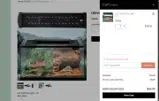RATTLESNAKE15 coupon verification screenshot