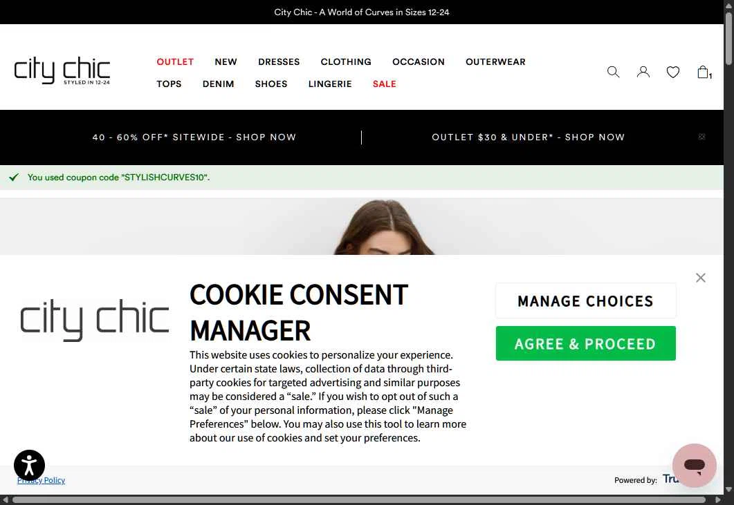 Hips & Curves checkout page showing Hips & Curves promo code box | Screenshot taken by SimplyCodes community member on Jan 17, 2026