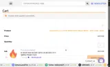 tsei coupon verification screenshot