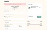 HOLIGIVING50 coupon verification screenshot