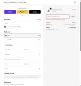 Outlevip coupon verification screenshot