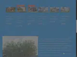 MONEYHYPEBONUS coupon verification screenshot