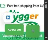 YN10 coupon verification screenshot