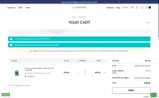 IMM10 coupon verification screenshot
