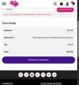 Jack And Jill Adult coupon verification screenshot