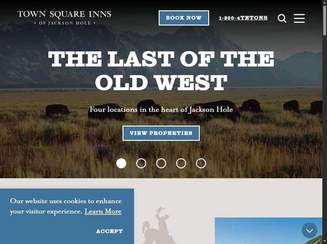 Jackson Hole checkout page showing Jackson Hole coupon code box | Screenshot taken by SimplyCodes community member on Dec 5, 2025