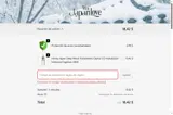 Japan With Love coupon verification screenshot