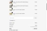 AYURELLE coupon verification screenshot