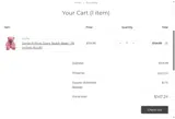 RUSHYAN coupon verification screenshot