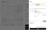 ana coupon verification screenshot