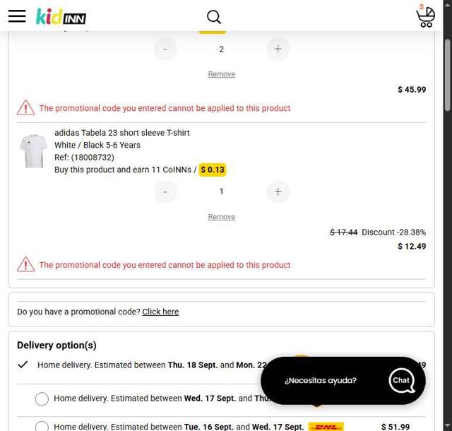 Kidinn checkout page showing Kidinn promo code box | Screenshot taken by SimplyCodes community member on Sep 13, 2025
