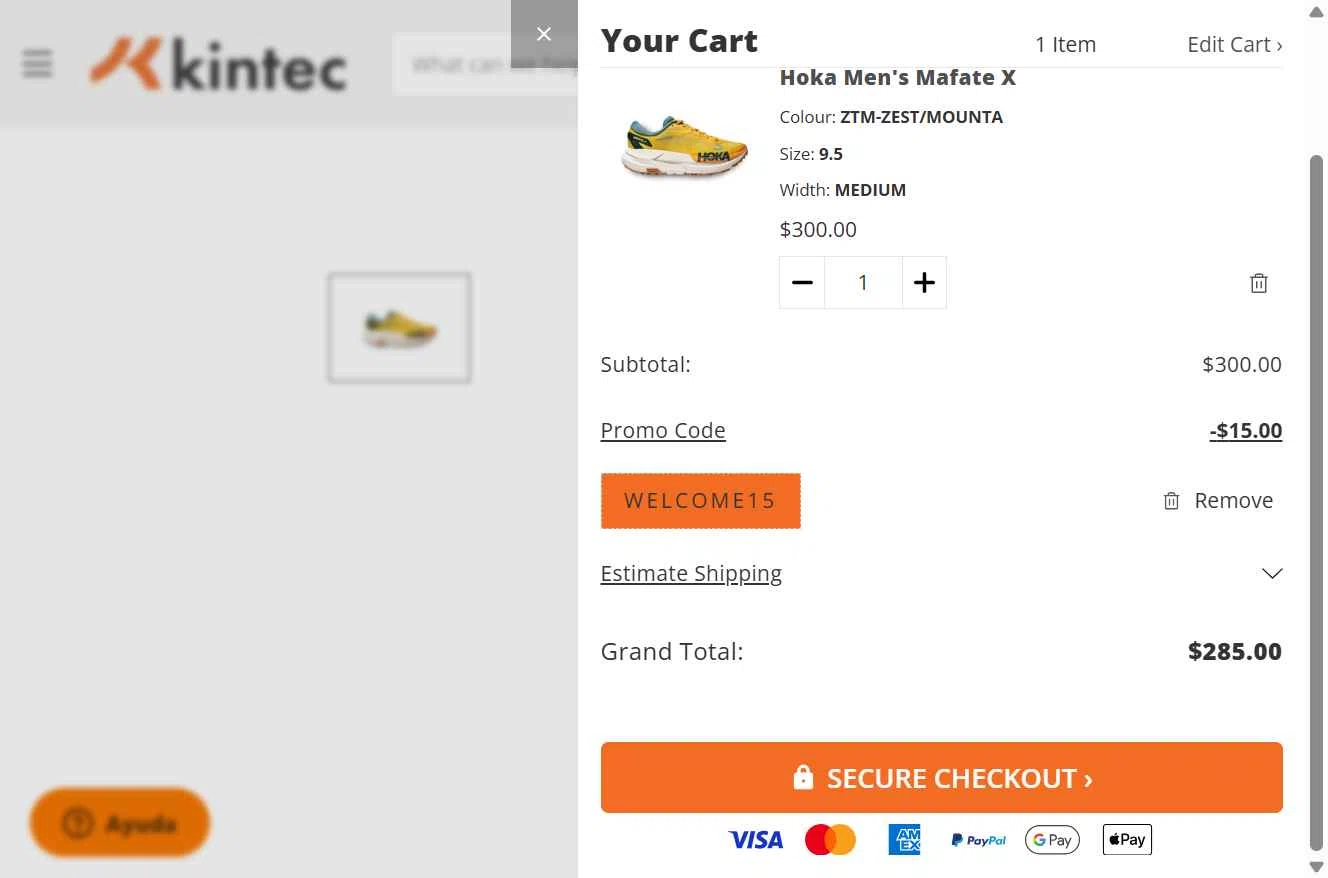 Kintec checkout page showing Kintec promo code box | Screenshot taken by SimplyCodes community member on Feb 16, 2026