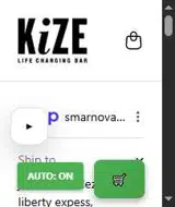 Kize Concepts coupon verification screenshot