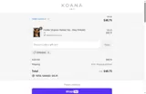 SPRING25 coupon verification screenshot