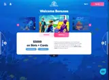 BERMUDA coupon verification screenshot