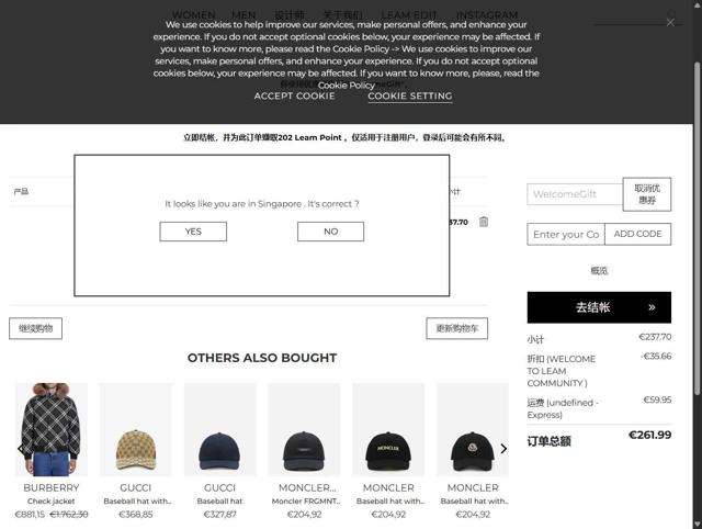 Leam checkout page showing Leam promo code box | Screenshot taken by SimplyCodes community member on May 16, 2025