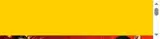 LEGOLAND Discovery Center Michigan coupon verification screenshot