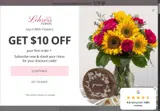 BUNNY10 coupon verification screenshot