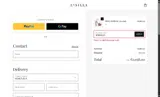 SPRING25 coupon verification screenshot