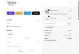 SELIZABETH20 coupon verification screenshot