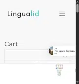 HOLIDAY21 coupon verification screenshot