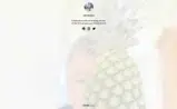 DSYMUSICAt10 coupon verification screenshot