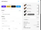 SPRING20 coupon verification screenshot