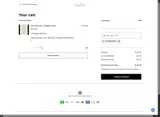 Lizzy's All Naturals coupon verification screenshot
