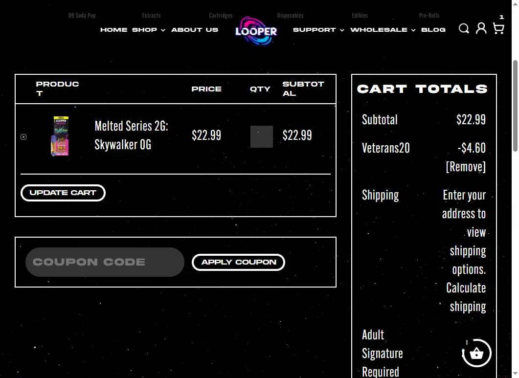 LooperVerse checkout page showing LooperVerse coupon code box | Screenshot taken by SimplyCodes community member on Jan 27, 2026