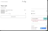 WELCOME10 coupon verification screenshot